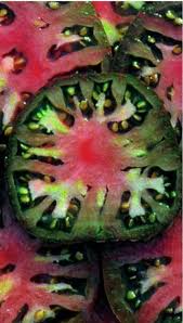 Afbeeldingsresultaat voor black sea man tomato