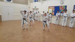 Image result for Ynys Mon Shukokai Karate Club, North Wales