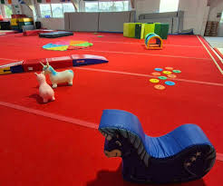 Image result for Buckley Girls Gymnastic Club