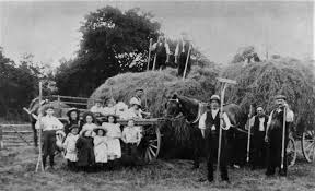 Image result for Shepherdswell Cricket Club