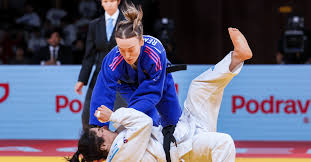 Image result for Redbridge Judo Club