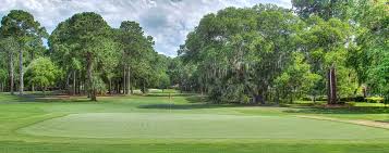 Image result for Dolphina Gc