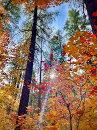 Image result for $$fall_akte__ort$$