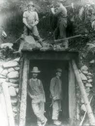 Image result for St Helens Miners