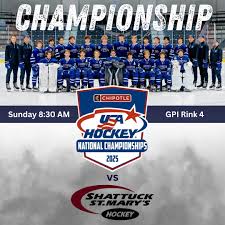 Image result for West Coast Wasps Skater Hockey Club