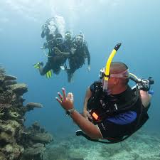 Image result for Divemaster Scuba