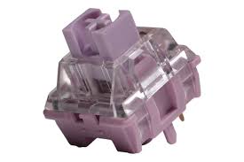 Image result for mountain top seashell