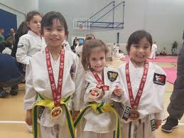 Image result for Reading Wtf Taekwondo