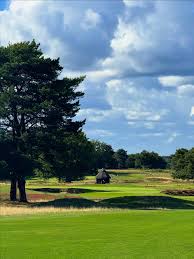 Image result for Walton Heath Golf Club