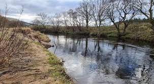 Image result for Carrick Angling Club