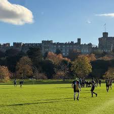 Image result for Egham Rfc