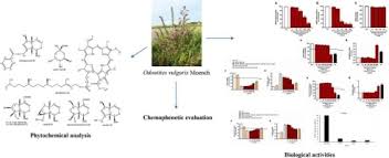 Attēlu rezultāti vaicājumam “Odontites vulgaris fruit”