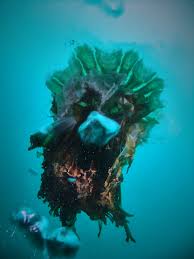 Image result for Leicester Underwater Exploration Club