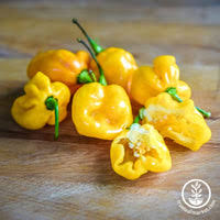 Afbeeldingsresultaat voor yellow mushroom hot pepper