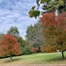 Image result for Nutley Tennis & Squash Club