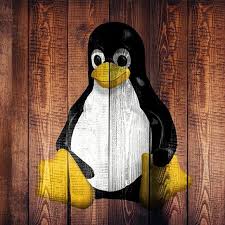 Image result for badass linux