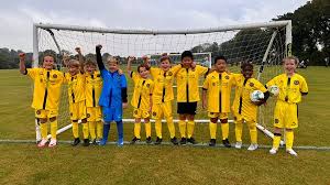 Image result for Farnborough Rfc Minis & Juniors