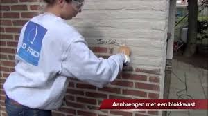 Image result for kaleien