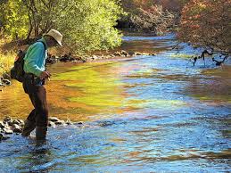 Image result for SHIRLEY SEA ANGLING CLUB