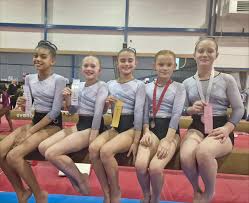 Image result for City Of Newcastle Gymnastics Academy