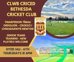 Image result for Clwb Criced A Bowlio Bethesda