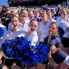 Image result for sapphire twirlstars