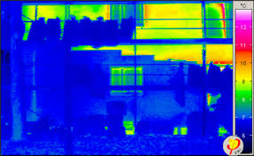 Image result for thermographie-aufnahmen