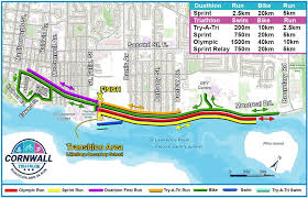 Image result for Tri-Cornwall