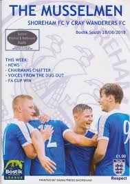 Image result for Southwick Wanderers