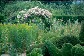 Image result for Priona Tuinen