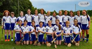 Image result for Collegeland O`rahillys Gaelic Football Club