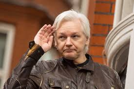Image result for julian assange