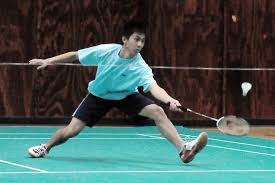 Image result for Lancing Badminton Club