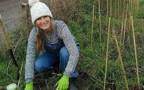 Image result for Brightlingsea Rugby Club