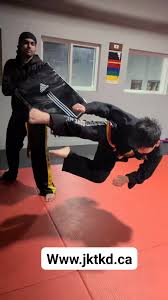 Image result for Surrey Taekwondo