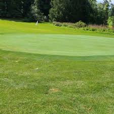 Image result for Juniper Green Bowling Club