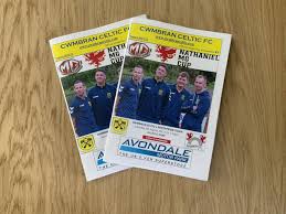 Image result for Cwmbran Celtic F C