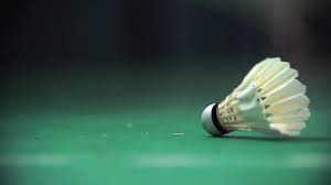 Image result for Chalfont Gut & Feather Badminton Club