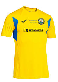 Image result for Gosport Borough Cc