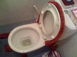 Image result for german toilet