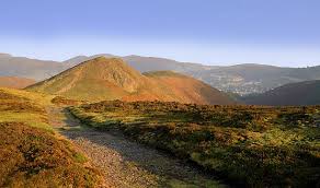 Image result for Long Mynd