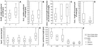 Attēlu rezultāti vaicājumam “Tortula lingulata”