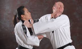 Image result for Tkd Self Defense