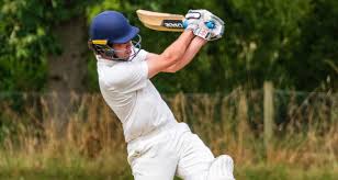 Image result for Effingham Cricket Club