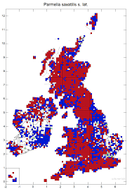 Attēlu rezultāti vaicājumam “Parmelia serrana”