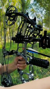 Image result for Orion Bowhunters