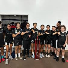 Image result for Cheltenham Cobras Volleyball Club