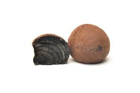 Attēlu rezultāti vaicājumam “Daldinia concentrica”