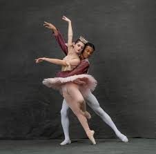Image result for Academy Of Dance