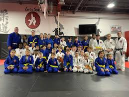 Image result for Professional  Martial Arts Academy
